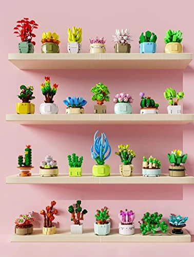 Mini Succulent Building Blocks Surprise Box Botanical - 6 years+ 2 pieces