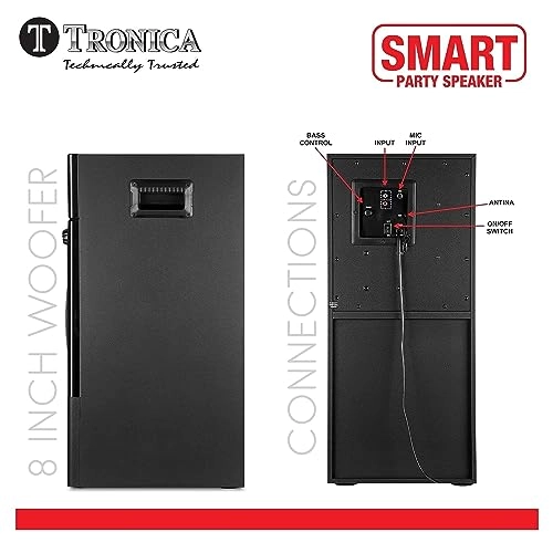 PS-02 - 2 microphones 130W