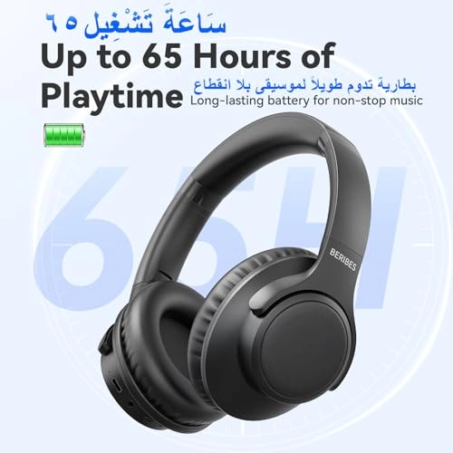 WH202A Wireless Headphone