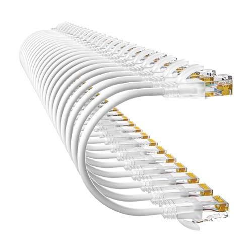Cat6a Patch Cable - 1ft