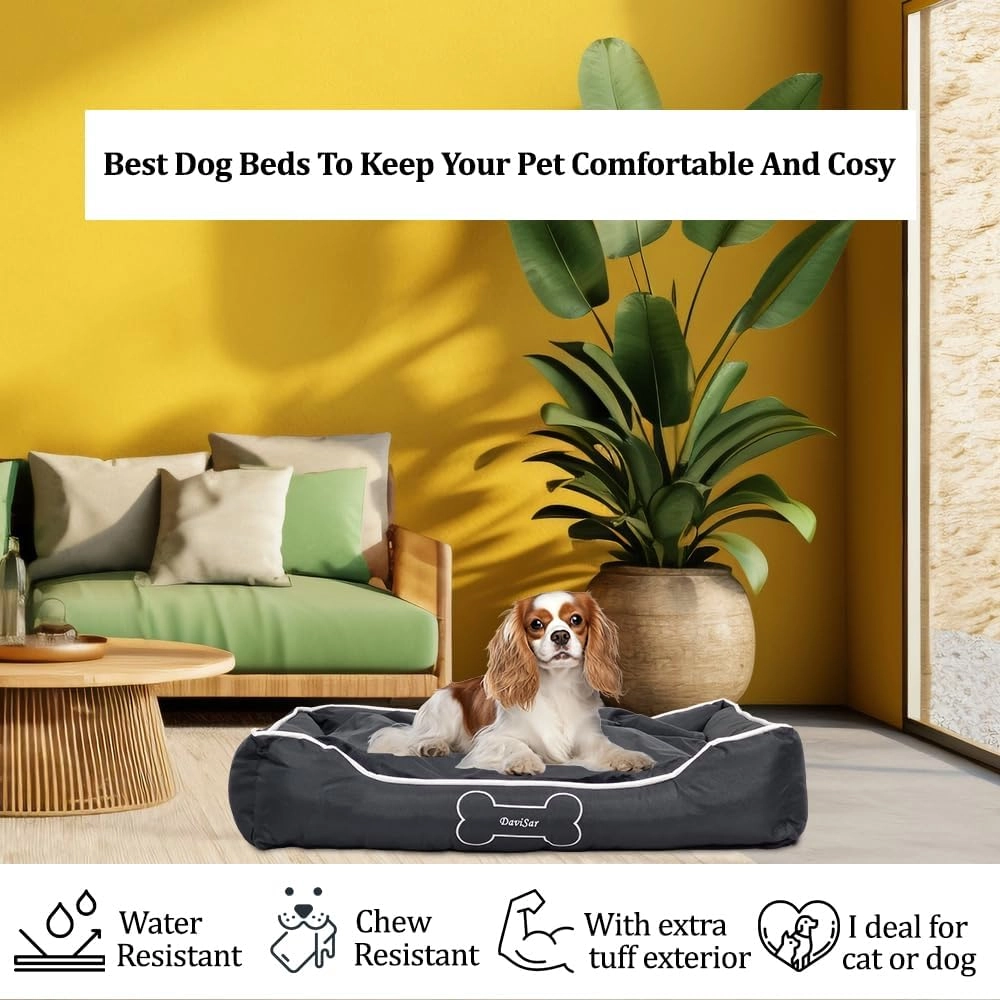 Orthopedic Pet Bed Couch
