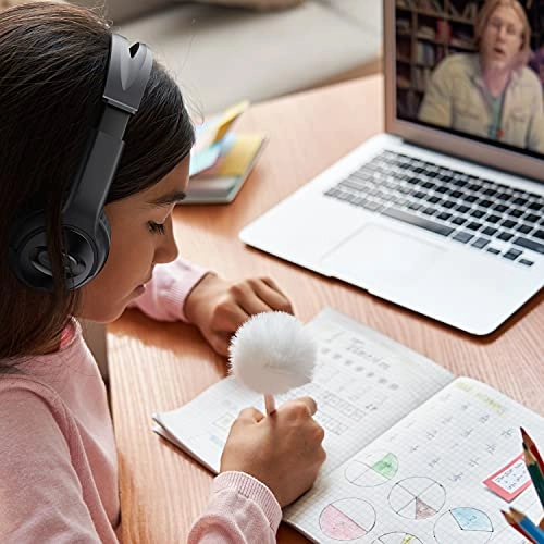 Z890 Wired Headphone