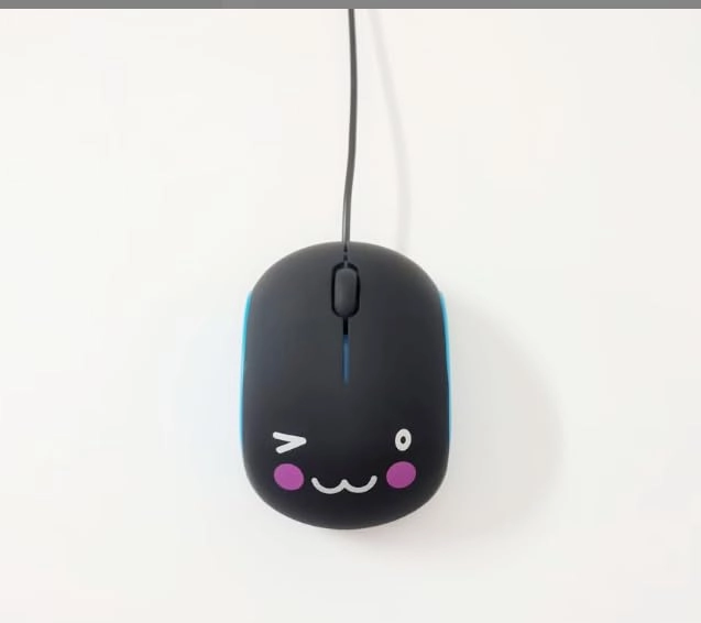 Wired USB C Mouse - USB