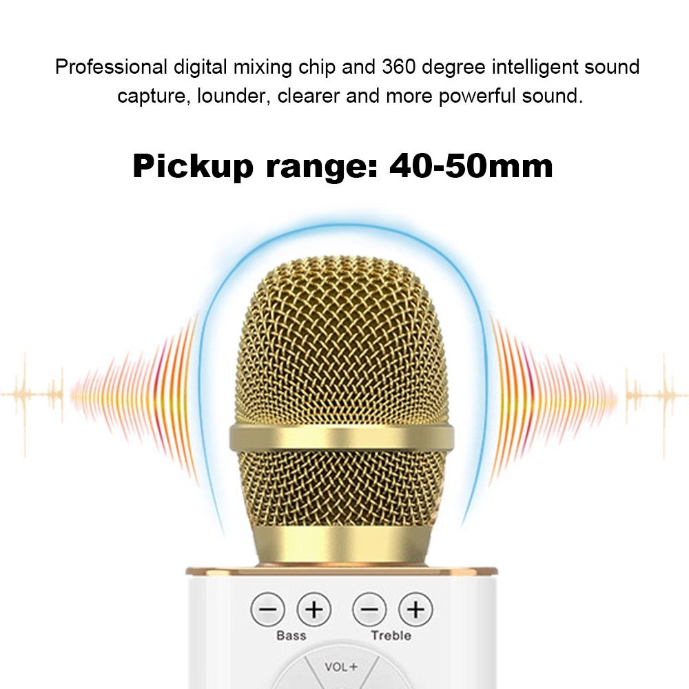 V7784G_P Wireless Microphone 2-In-1 Karaoke