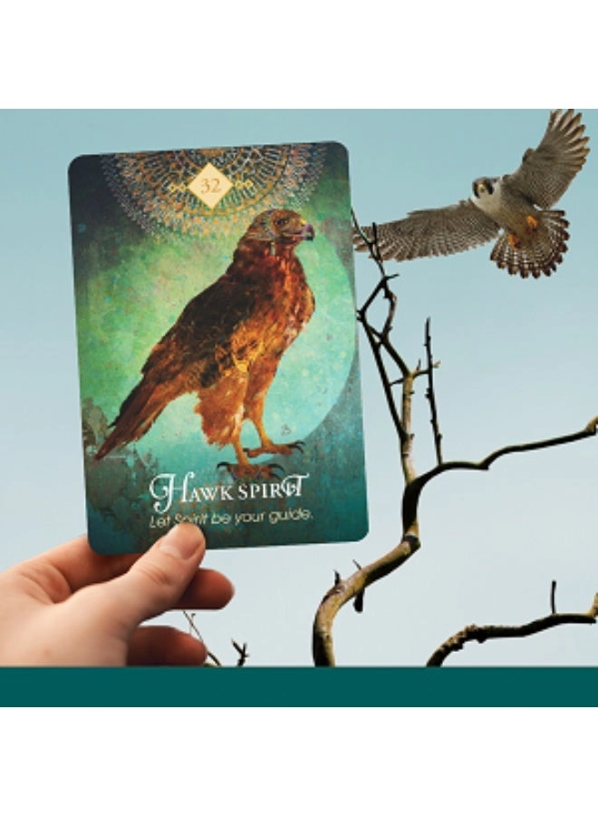 Spirit Animal Wisdom Cards