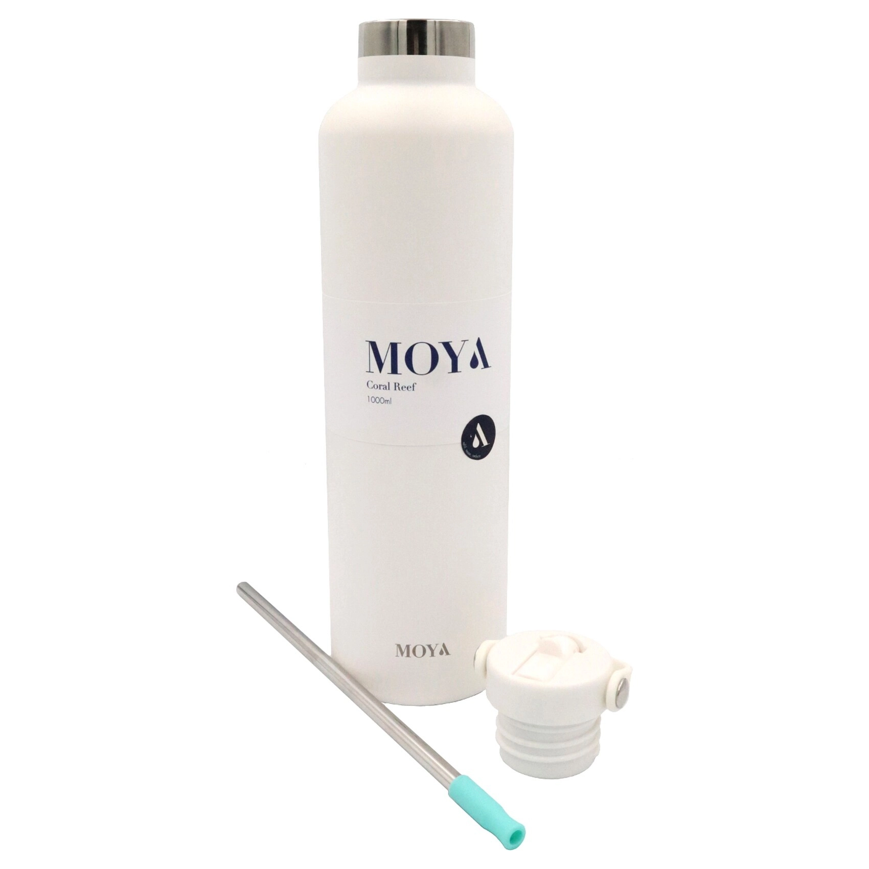 Coral Reef Flask - 1L