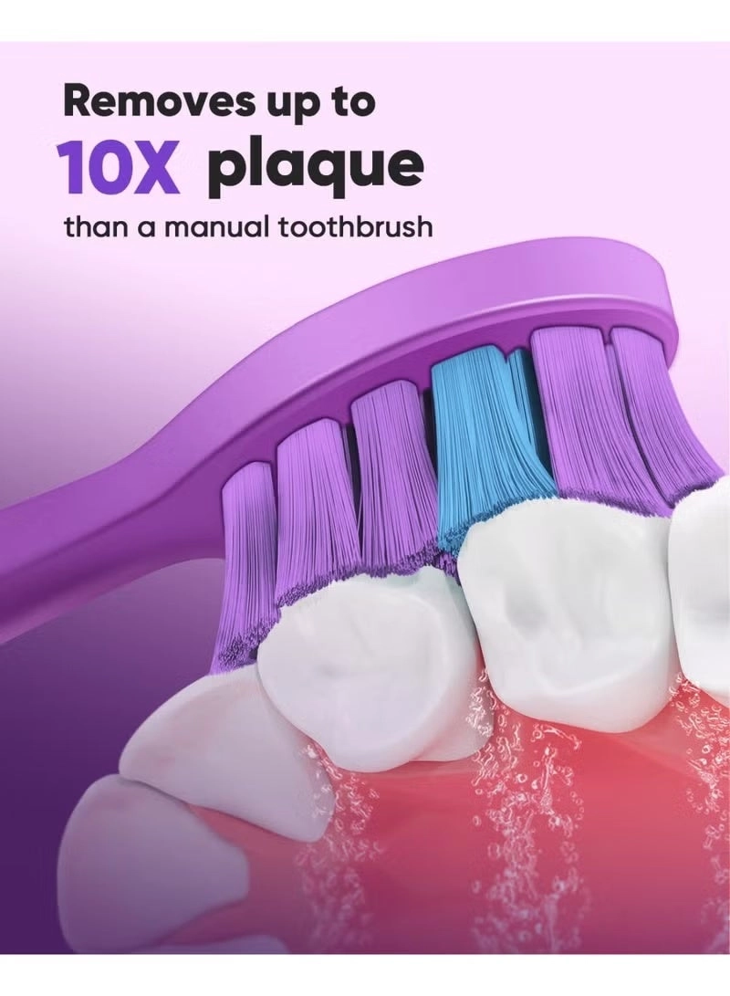 DY156 - 3 Pack PURPLE