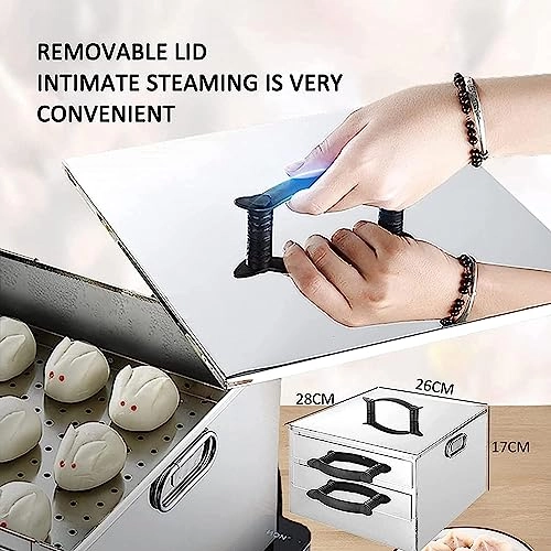 Rice Noodle Rolls Maker - 2-Layer 304 Stainless Steel