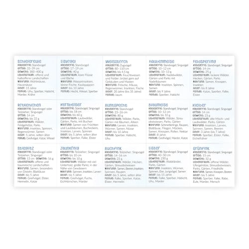 Our Bird World Memo - 36 months - 6 years