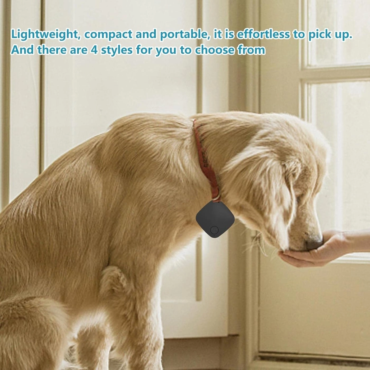 GPS Tracker - 1 piece(s)