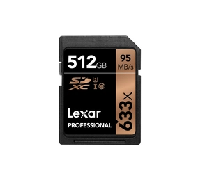 Professional - 512GB
