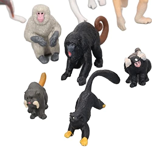 Primate Animal Model Set - 10 pieces