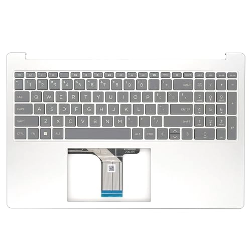 Palmrest Upper Case - N36752-001 Silver