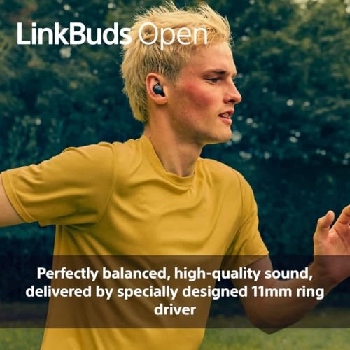 LinkBuds Open Wireless Earbud