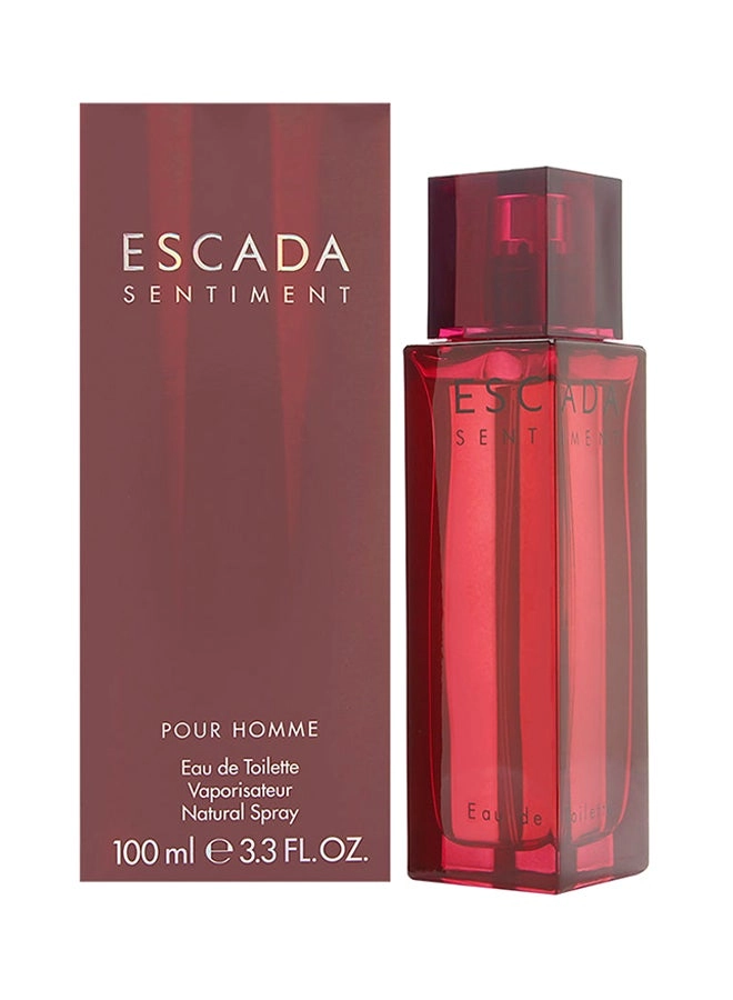 Sentiment Eau de Toilette 100ml