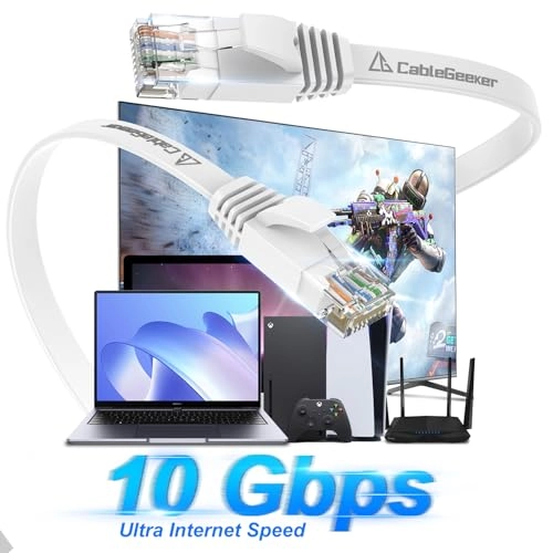 Cat 6 Ethernet Cable - 100 ft