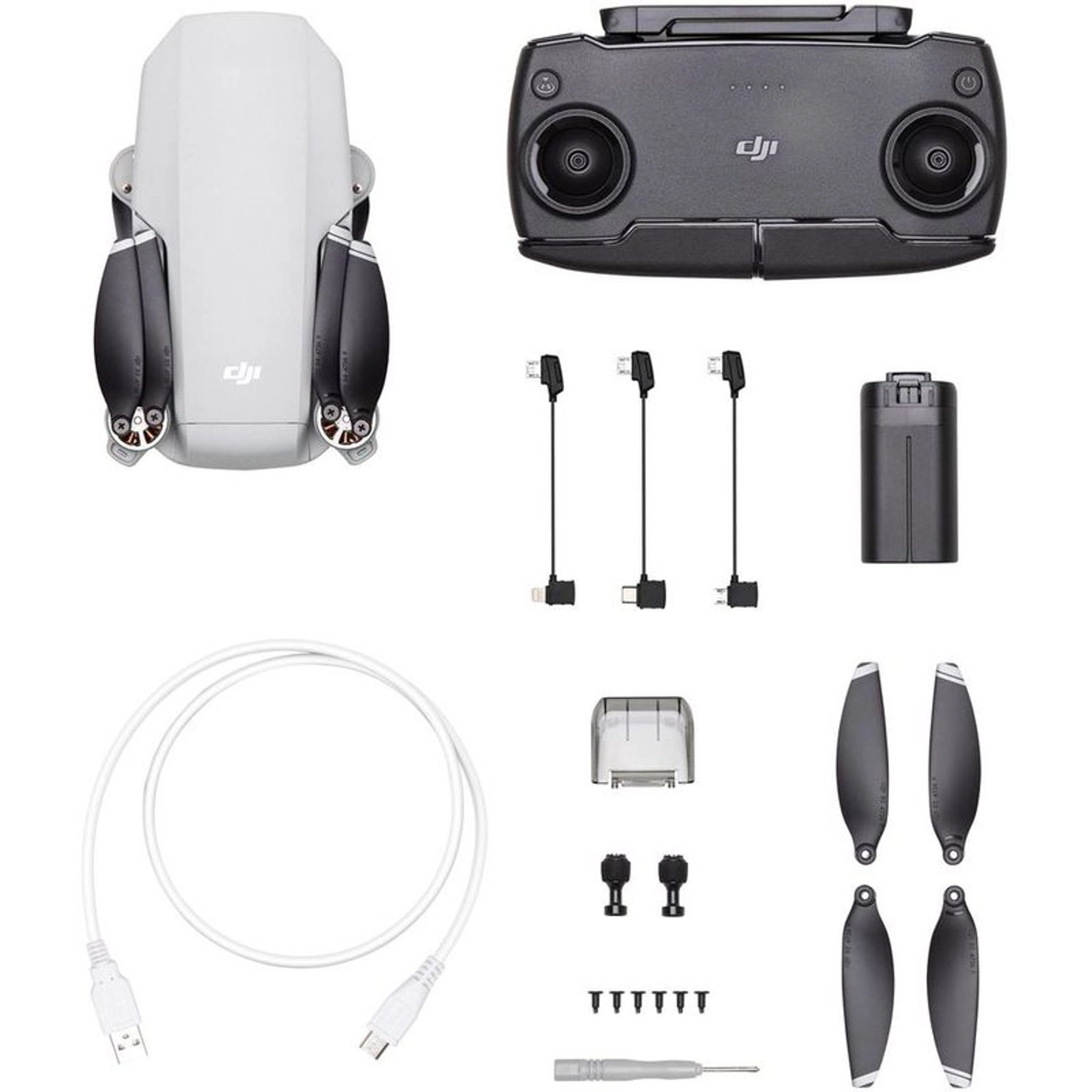 DJI Mavic Mini
