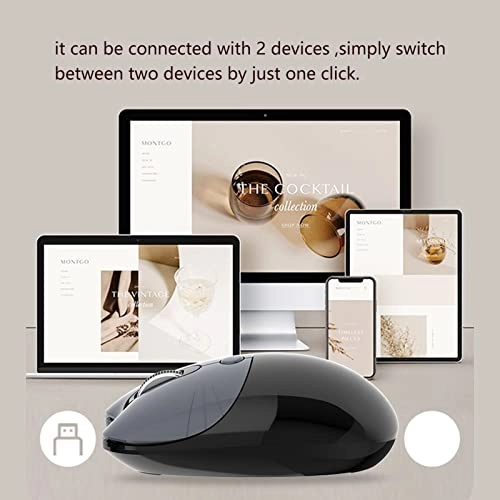 Wireless Mouse - BT5.1 2.4GHz