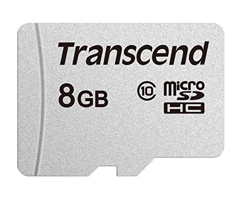 300S - 8GB