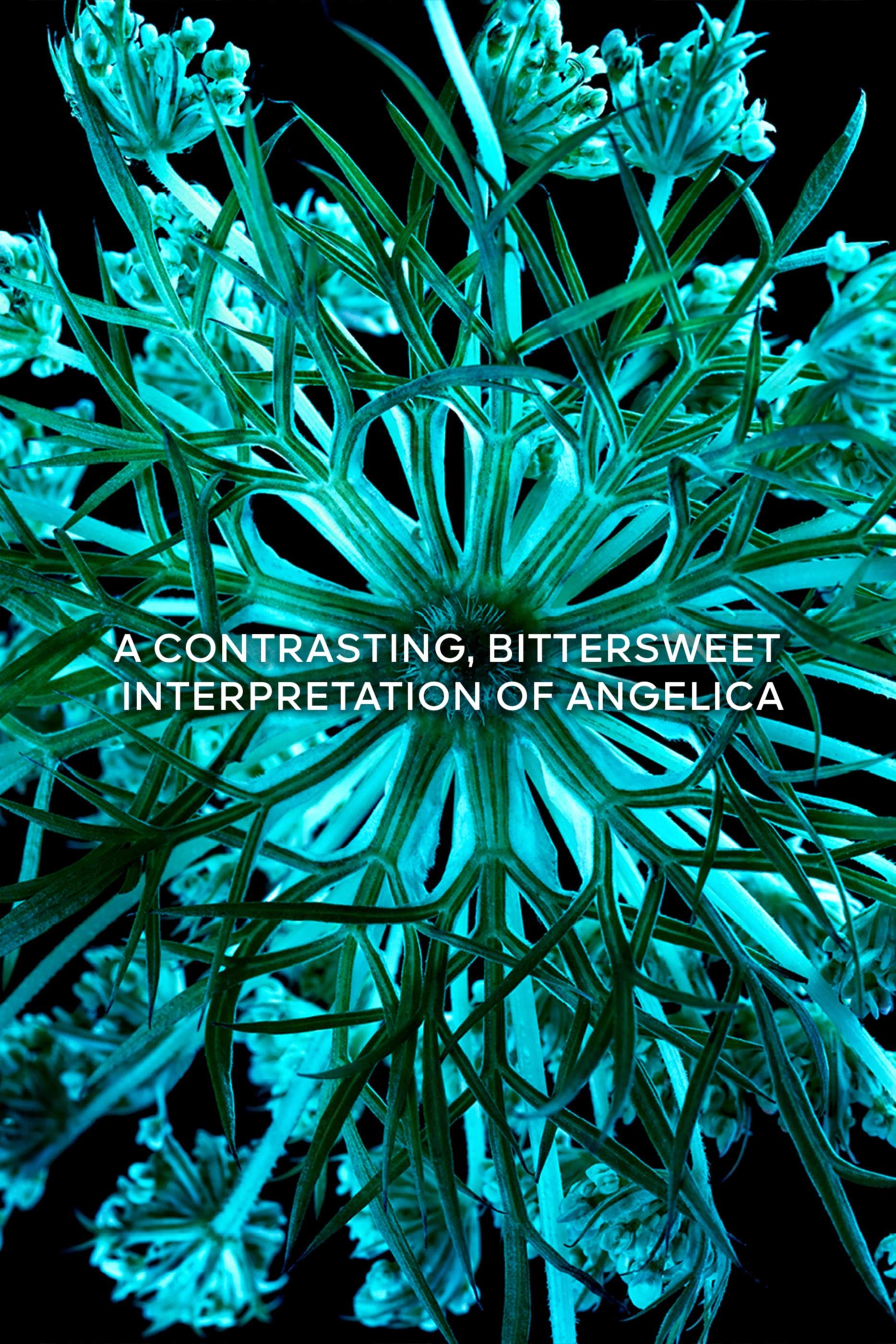 Angélique Noire Eau de Parfum 100ml