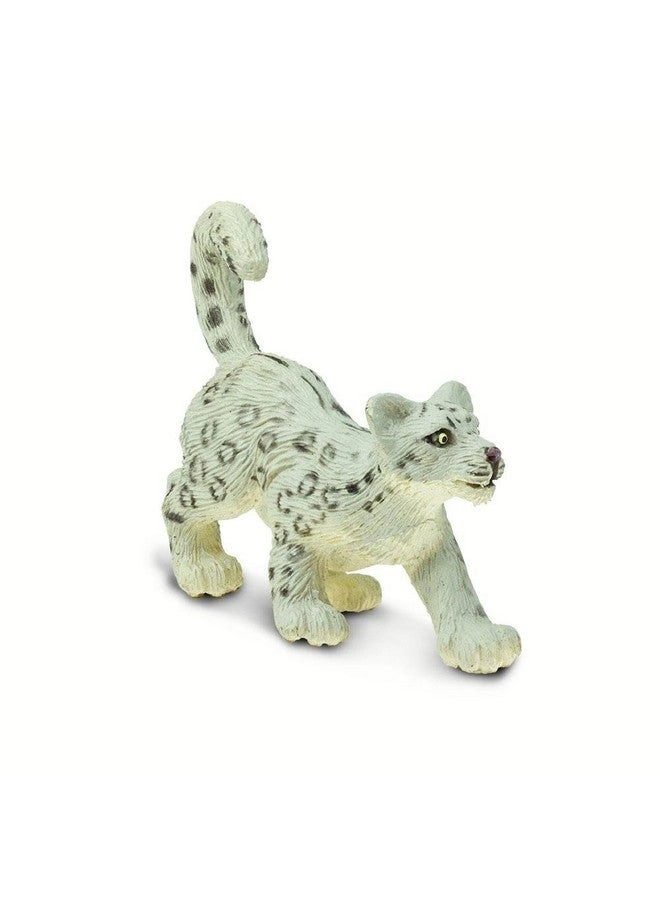 Snow Leopard Cub