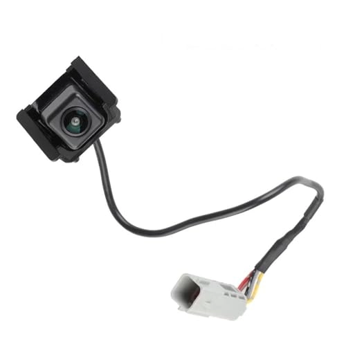 Rear Image Camera Assembly - Wire