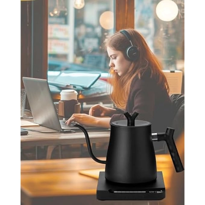 ALLESM Smart Electric Temperature Control Gooseneck Kettle