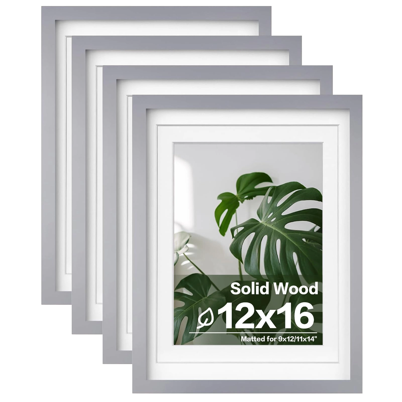 picture frames - 12x16