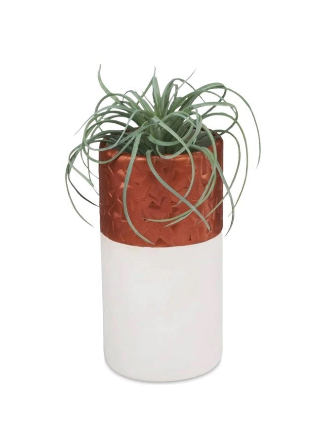 Premo - Polymer Oven-Bake Clay 780g 24pcs.