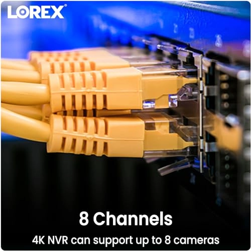 N842A82 + E892DD - 4 Cameras 8 Channel 4K