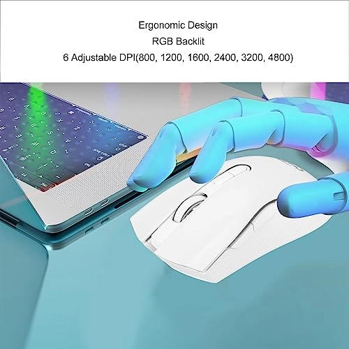 Wireless Mouse - Radio Frequency