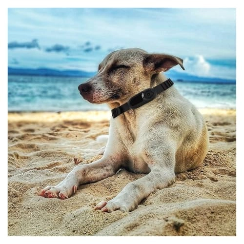 Action Camera - 32G 1080P