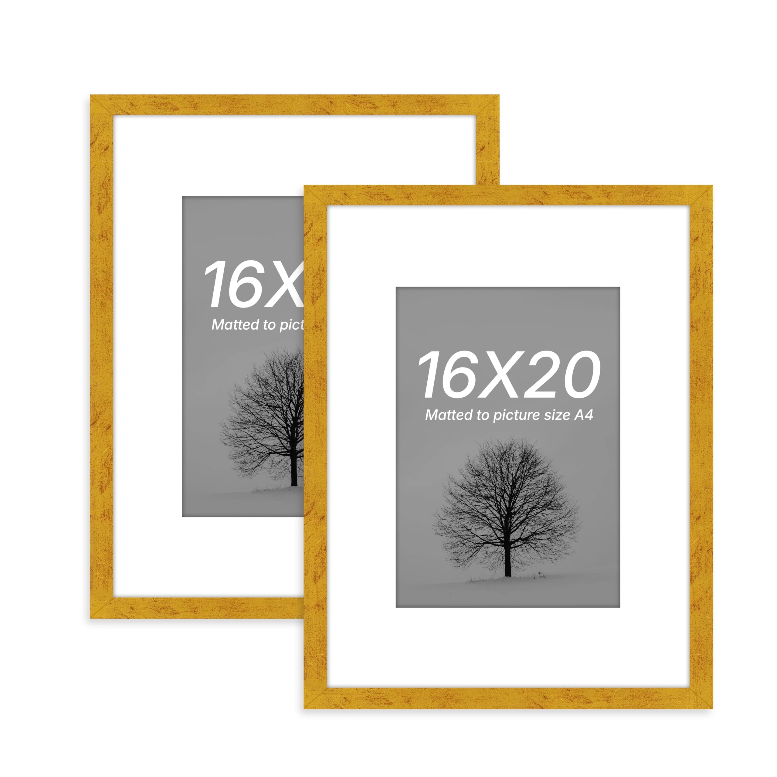Document Frame - 16x20 Inch