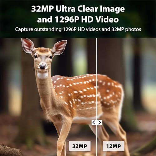 Trail Camera - 24 megapixel