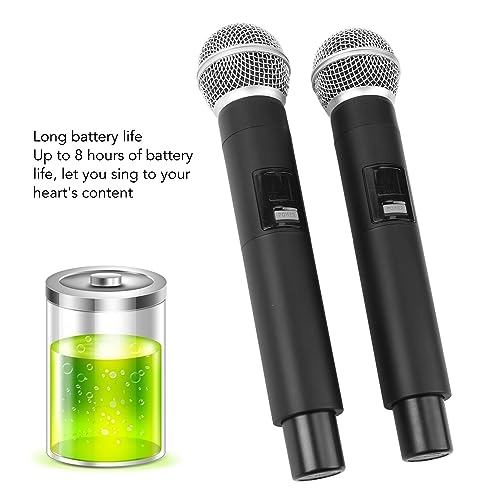 Wireless Microphone System - 2