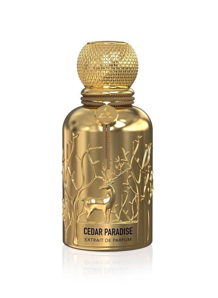 Auraa Desire Cedar Paradise Eau de Parfum 100ml