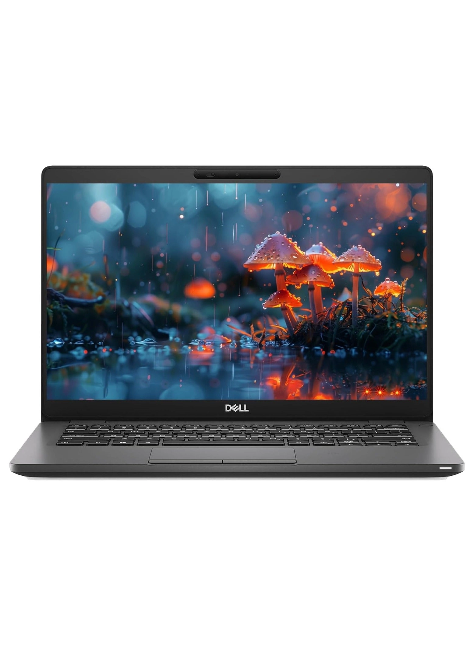 DELL Latitude 5300 - 13.3'' Core i5-8365U 12GB DDR4 256GB SSD