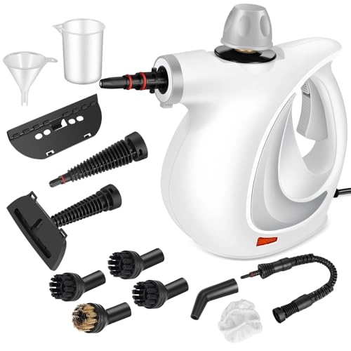 Steam Cleaner - 350 Milliliters