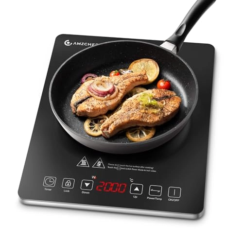 CB16 Induction hob
