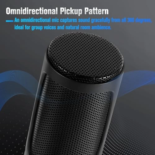 K2S Wired Microphone