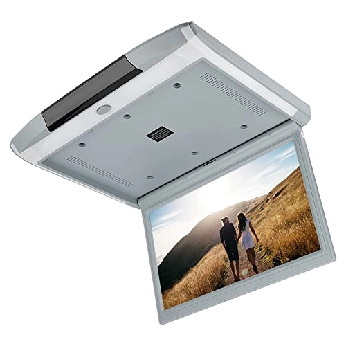 Car Roof Monitor - 15.6in