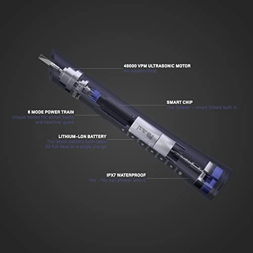 WT7700 - 8 Charcoal Black Brush Heads Blue