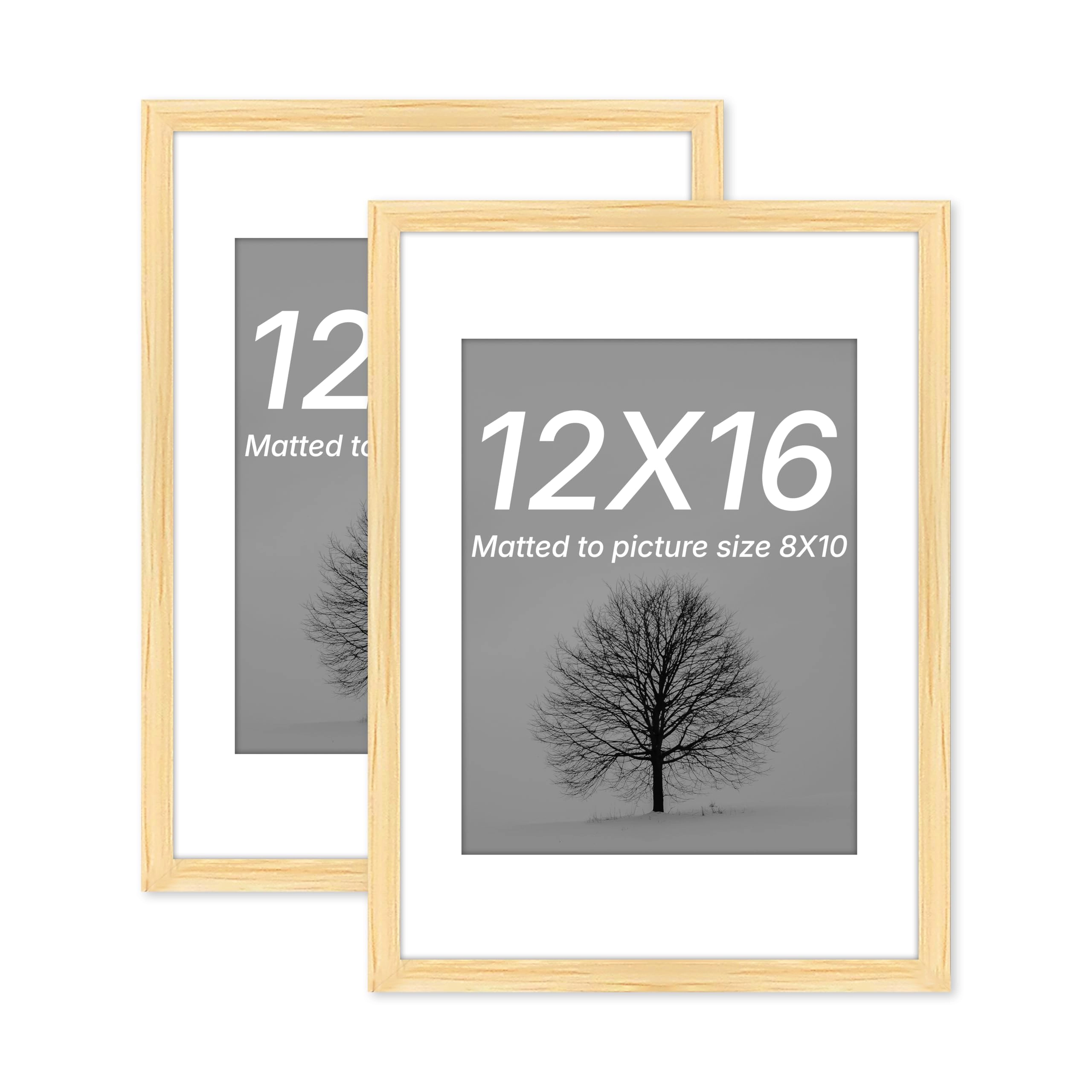 Document Frame - 12x16 Inch