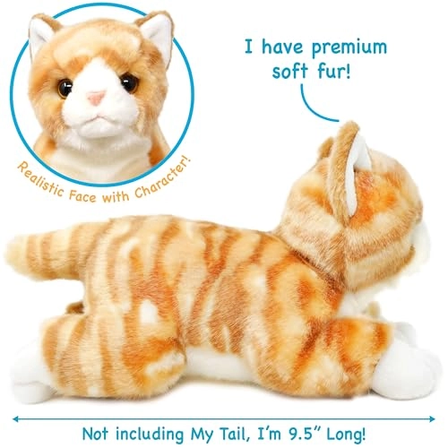 Tamarr - 25 cm