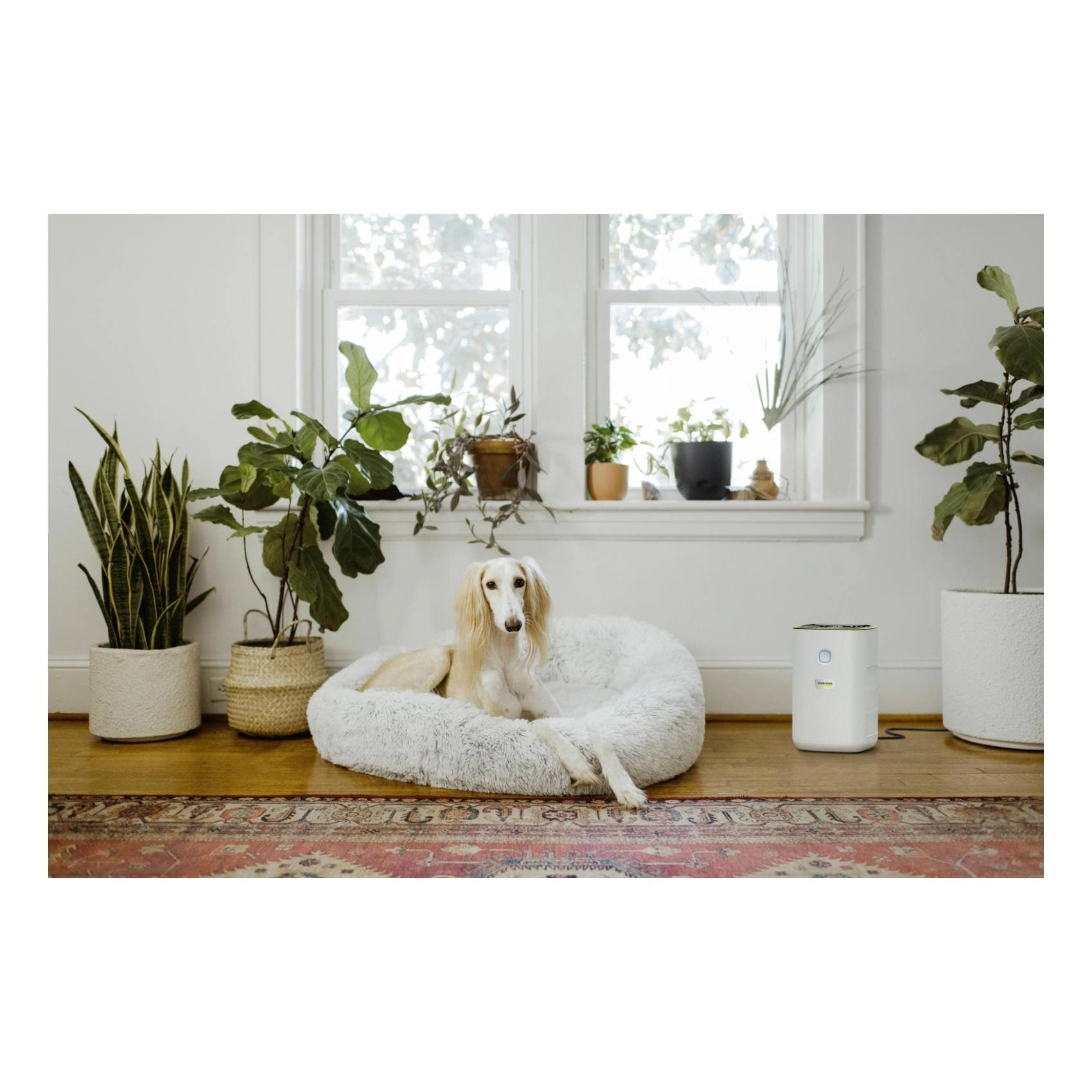 AF 20 - H13 20m²-40m²