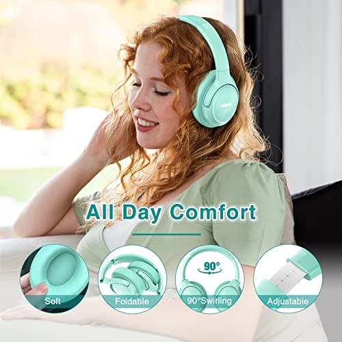 WH202A Wireless Headphone