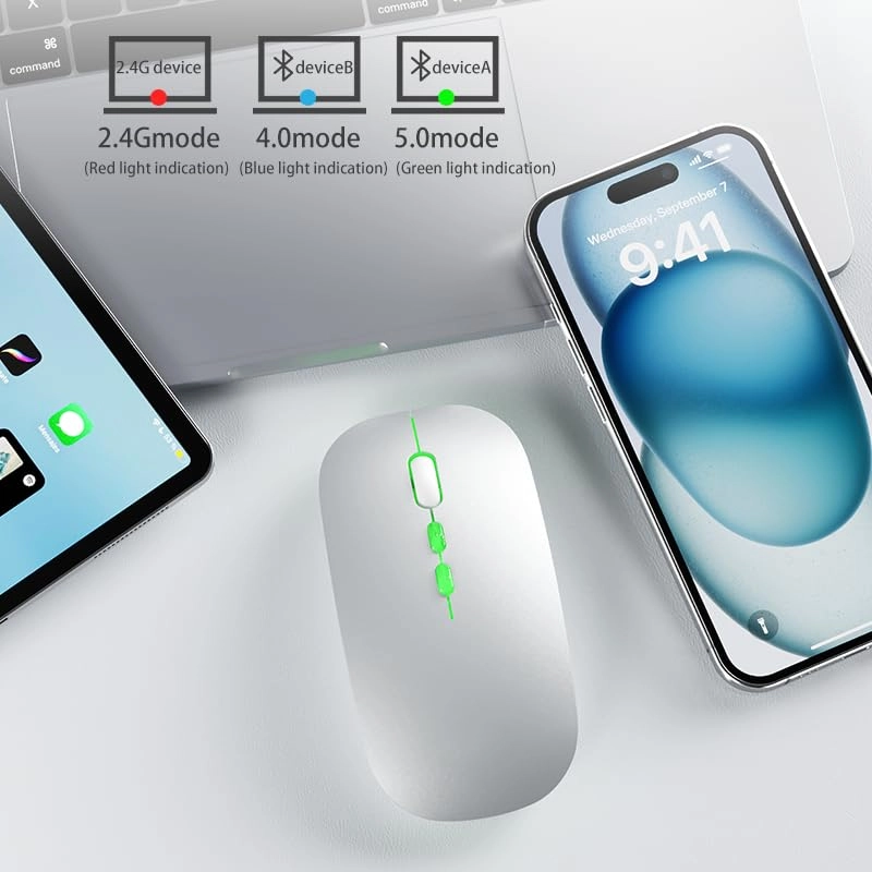 Dual Mode Silent Mouse - 2.4G Wireless Bluetooth