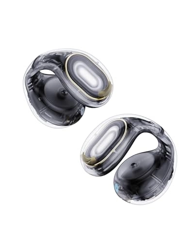 Anker C30i Wireless Earbud