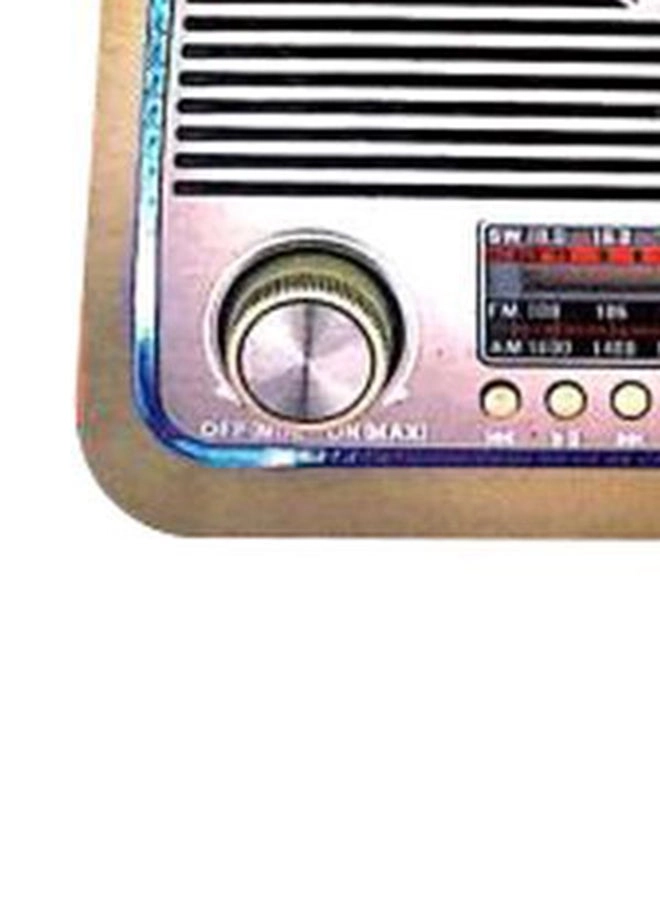 Bluetooth Radio Speaker - FM