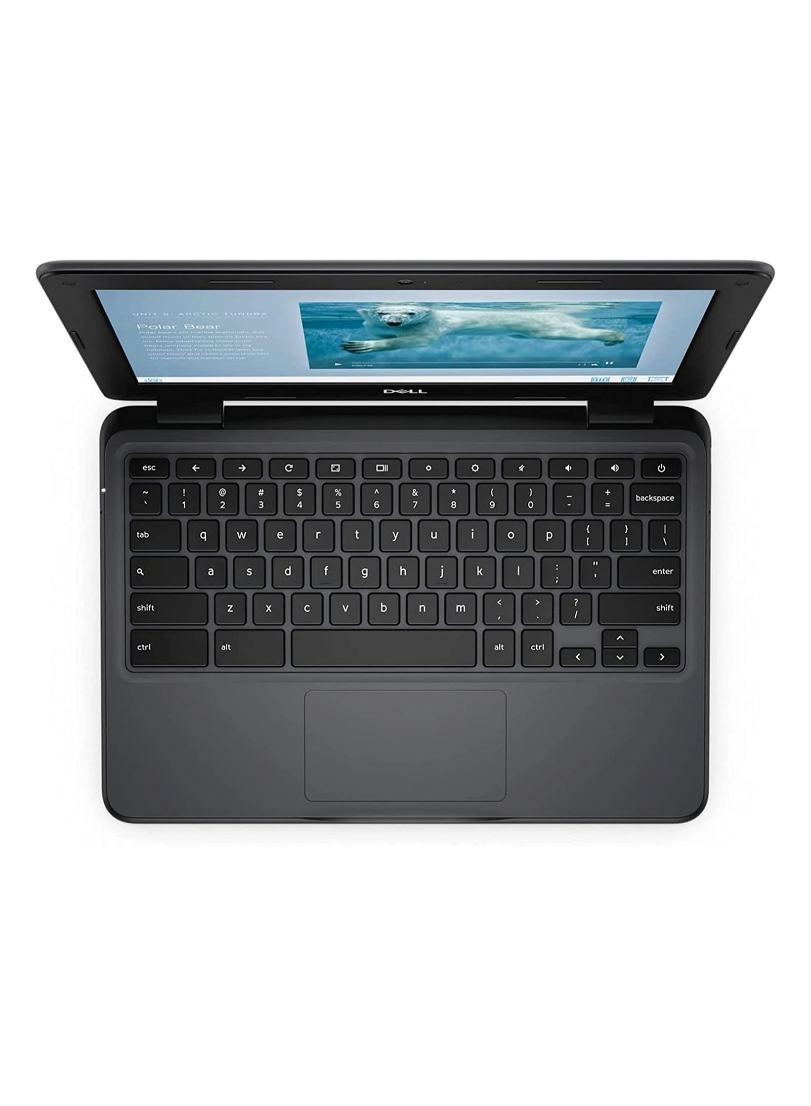 (Renewed) Chromebook 3100 - 11.6'' Celeron 4GB DDR4 16GB SSD